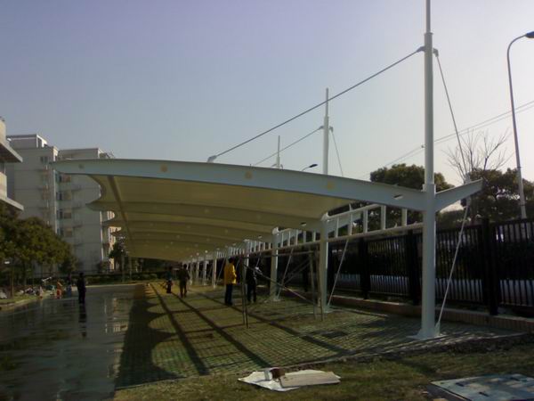 Ĥ�ṹͣ����