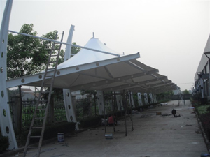 Ĥ�ṹͣ����