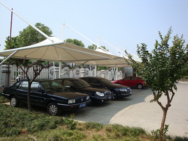 Ĥ�ṹͣ����